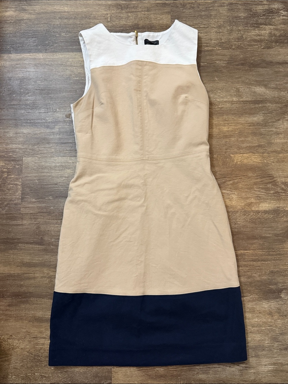 The Limited Sleeveless Color Block Sheath Dress